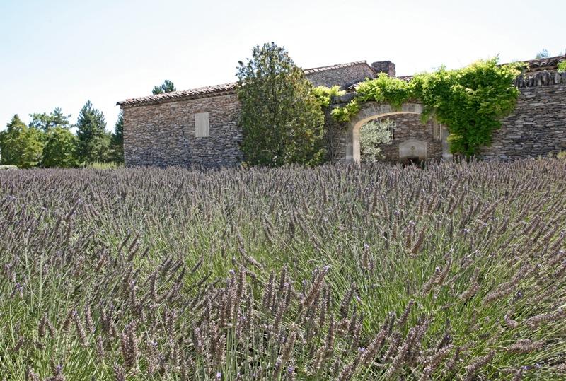 Maison en Luberon avec piscine au calme